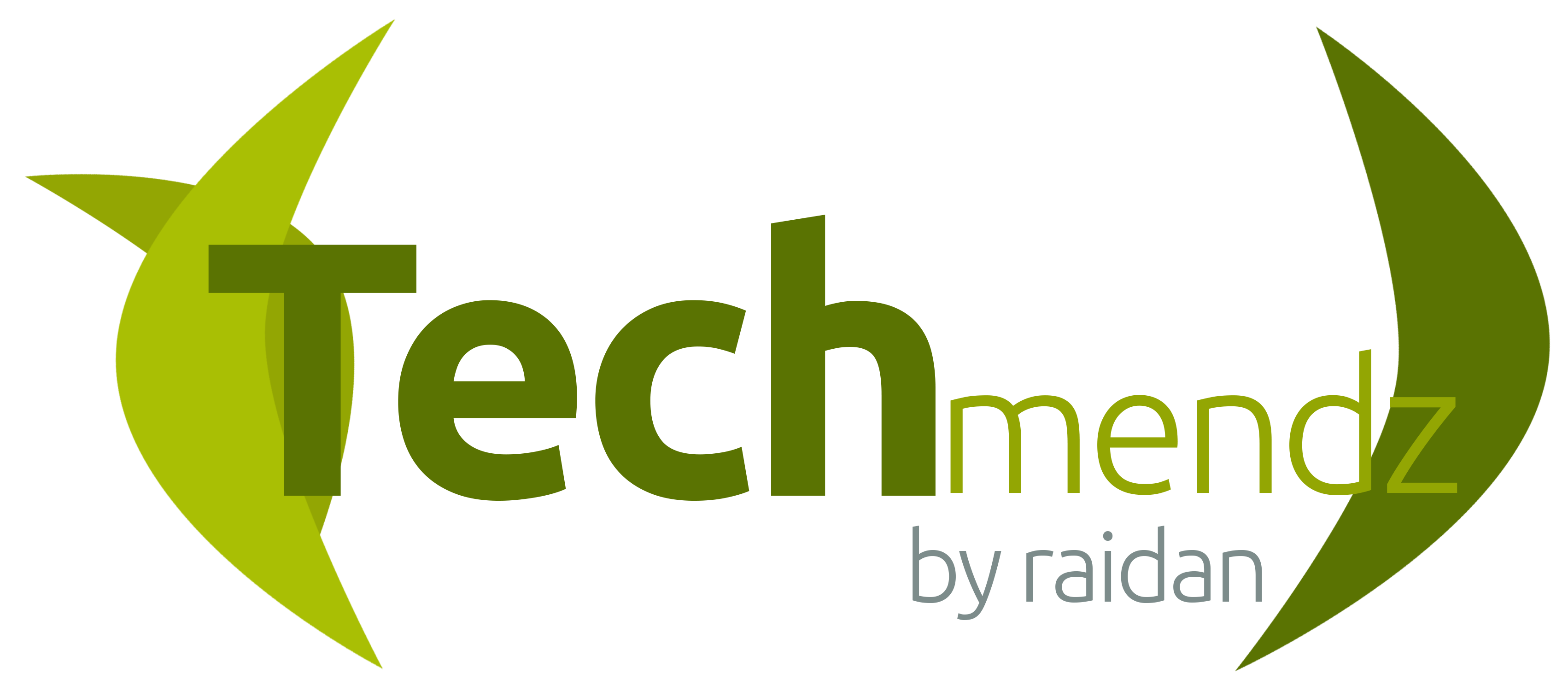 Techmendz | Raidan